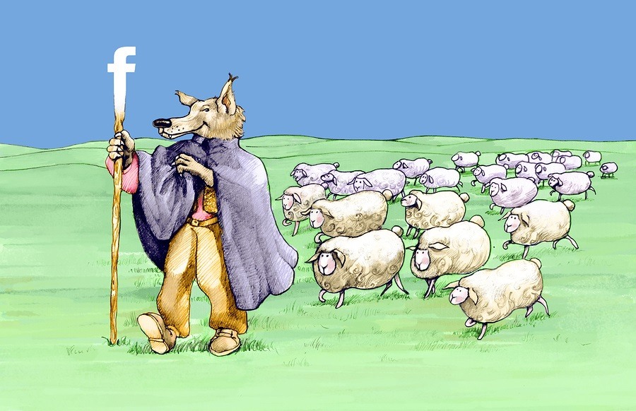a wolf in shepherd has a stick with the symbol of facebook and is followed by sheep