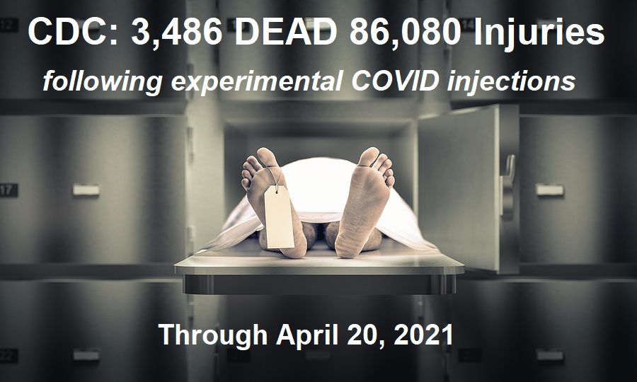Notices of Liability for COVID-19 Vaccine Harms and Deaths Served on All Members of the European Parliament CDC-deaths-injuries-covid-shots-4.20