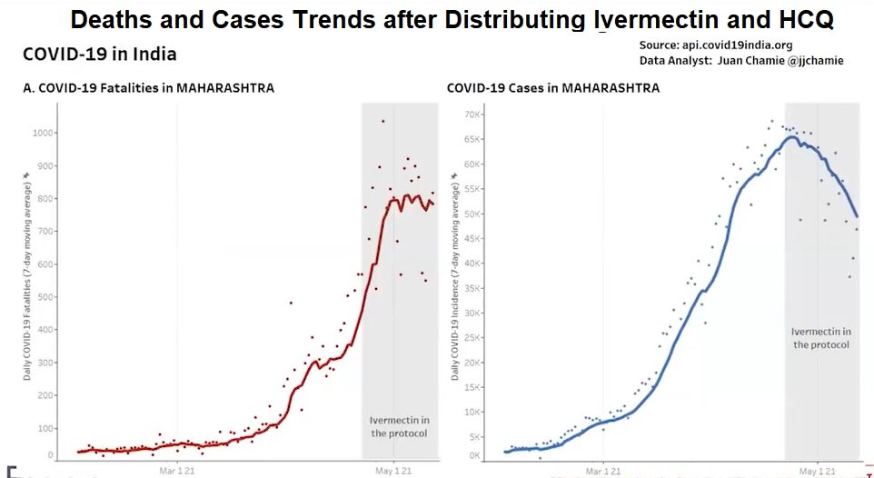 COVID-19-Fälle sinken in Indien durch die Verabreichung von Ivermectin und Hydroxychloroquin und die WHO/Big Pharma flippt aus