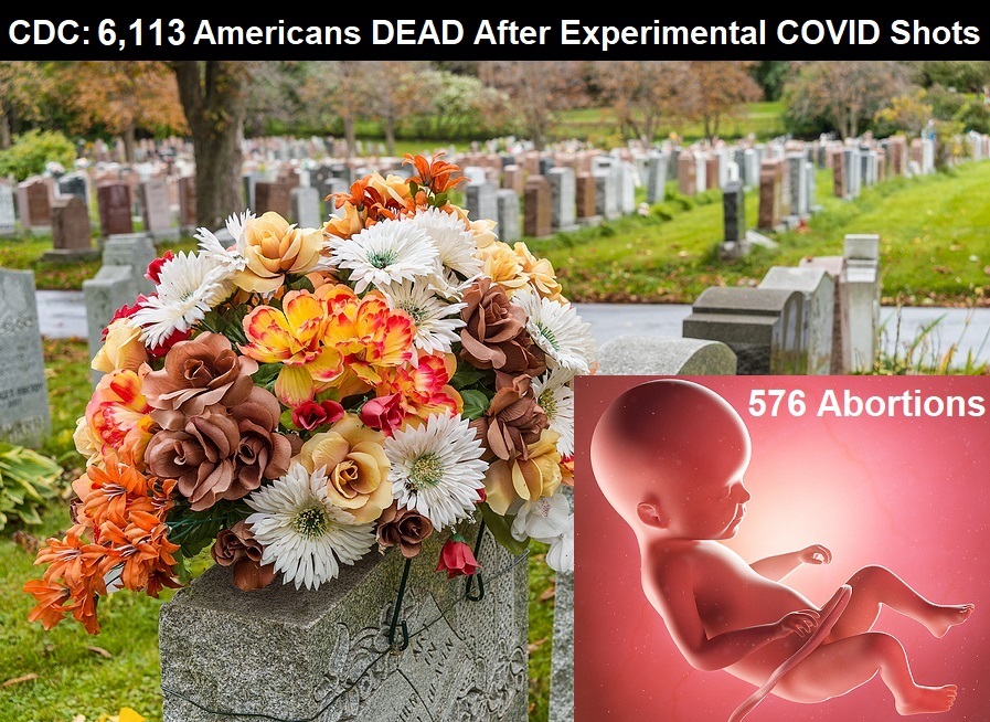 CDC VAERS Fatality Stats thru 6/18/21 Cemetary-CDC-COVID-Vaccine_Deaths-Abortions