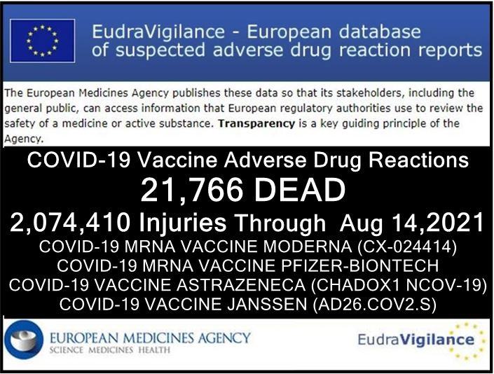 EUDRA Adverse Reaction Stats Though August 14th, 2021 14082021-eu-injuries-EudraVigilance