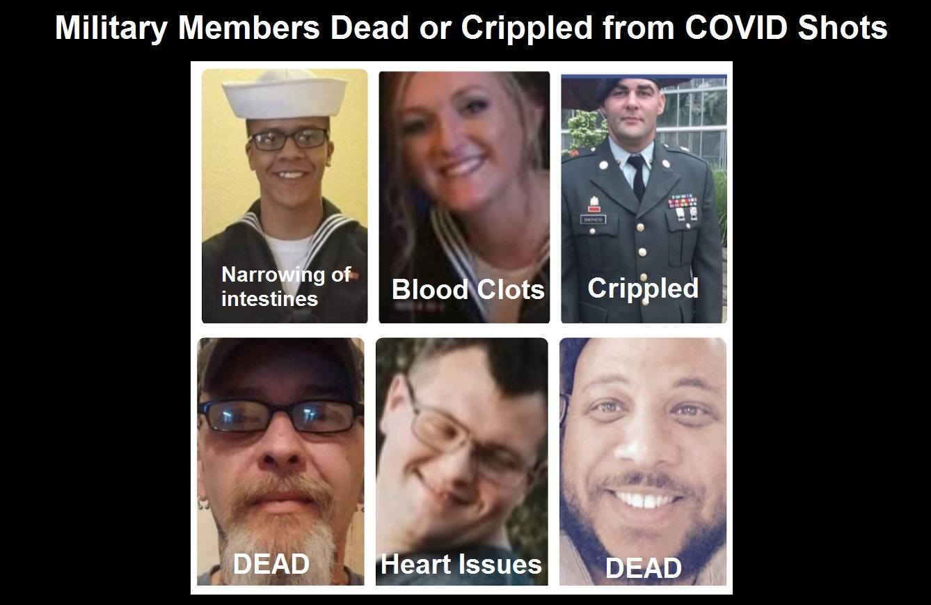 Military members dead or crippled from covid shots | 76,253 dead 6,033,218 injured recorded in europe and usa following covid vaccines with 4,358 fetal deaths in u.s. | health