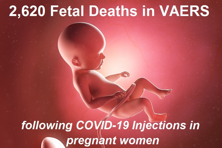 2620-fetal-deaths.jpg