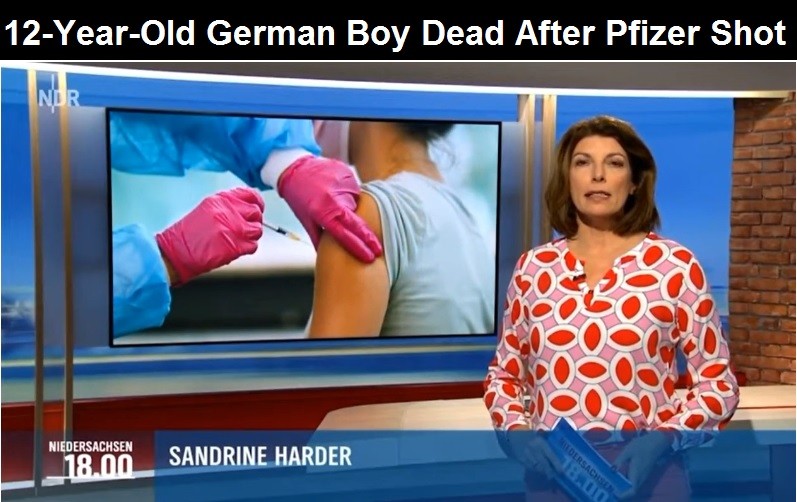 12 year old german boy dead | 76,253 dead 6,033,218 injured recorded in europe and usa following covid vaccines with 4,358 fetal deaths in u.s. | health