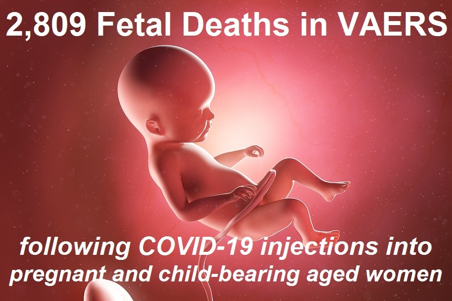 2809-fetal-deaths.jpg