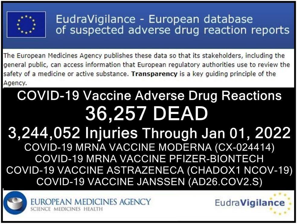 EUDRA Adverse Reaction Stats Through January 1st, 2022 EudraVigilance-ADRs-EU-Jan-01-head-table