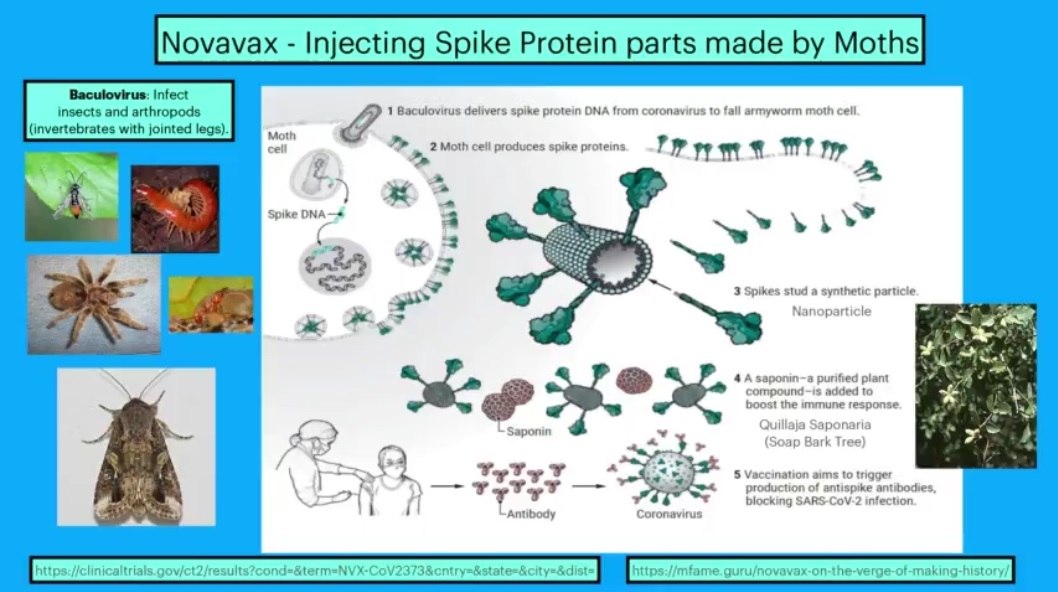 Novavax: Soon to be FDA-Authorized COVID-19 Vaccine for the “Christian Pro-life” Population? Novavax-injecting-spike-proteins