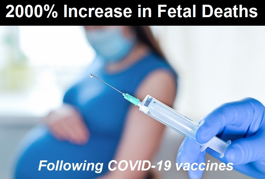 2000 percent increase fetal deaths | 76,253 dead 6,033,218 injured recorded in europe and usa following covid vaccines with 4,358 fetal deaths in u.s. | health