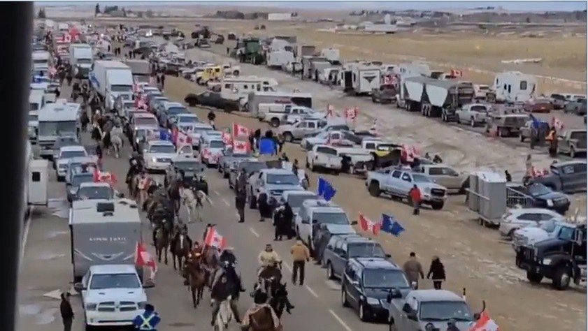 In Second Weekend Trucker Convoy Spreads to Other Canadian Cities as Ottawa Declares State of Emergency Alberta-horses