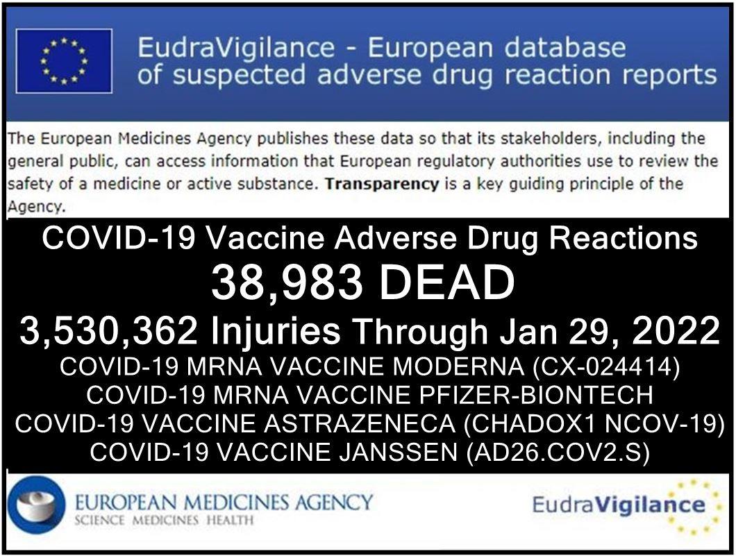 EUDRA Adverse Reaction Stats Through January 29th, 2022 Eudravigilance-1.29.21