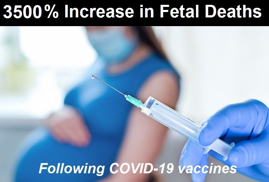 Fetal Deaths Increase by 3,525% Following COVID-19 Vaccines 3500-percent-increase-fetal-deaths