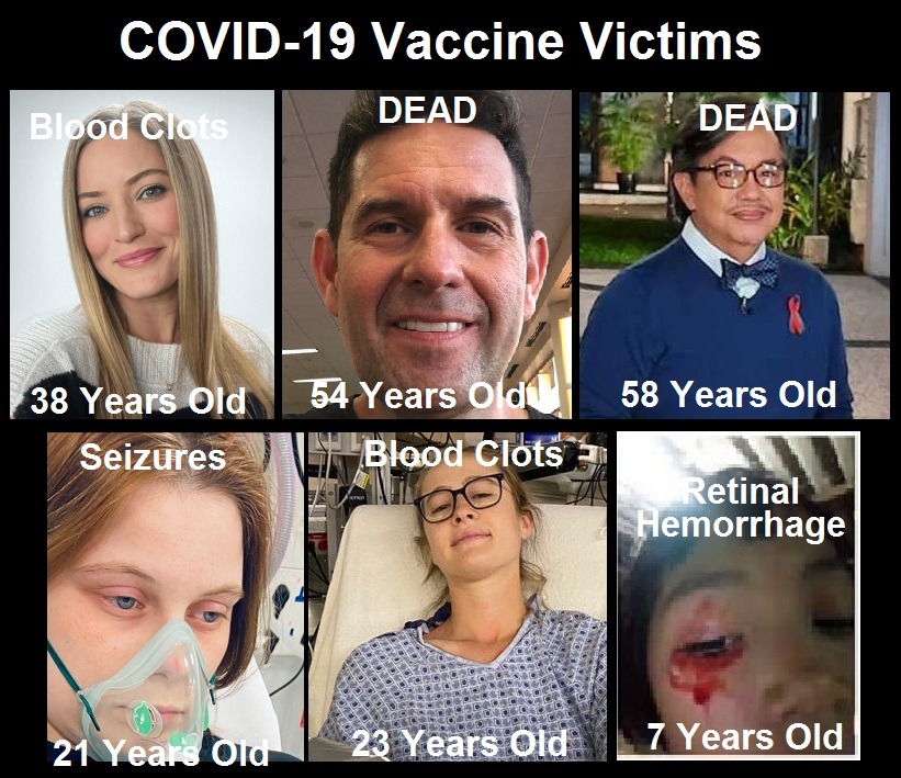 Covid 19 vaccine victims | 76,253 dead 6,033,218 injured recorded in europe and usa following covid vaccines with 4,358 fetal deaths in u.s. | health