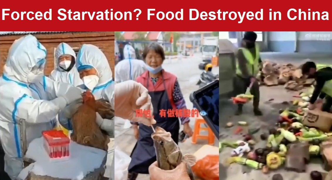 Destruction of Food Begins in Shanghai with Fences Installed to Keep People Locked Down Food-destruction-in-China-starvation
