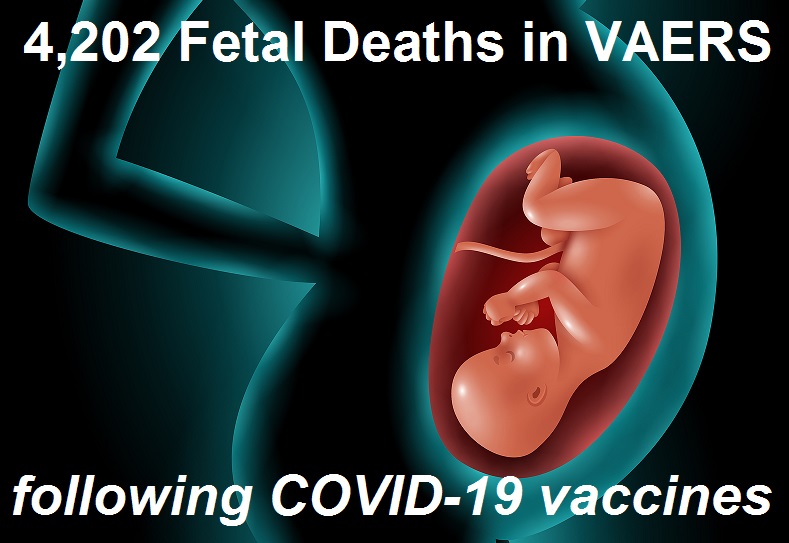 Fetal deaths 5 20 22 | 76,253 dead 6,033,218 injured recorded in europe and usa following covid vaccines with 4,358 fetal deaths in u.s. | health