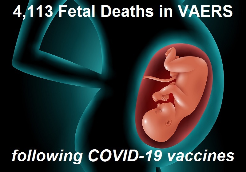 Fetal Deaths in VAERS Following COVID-19 and Other Vaccines  Fetal-deaths-vaers-4.22