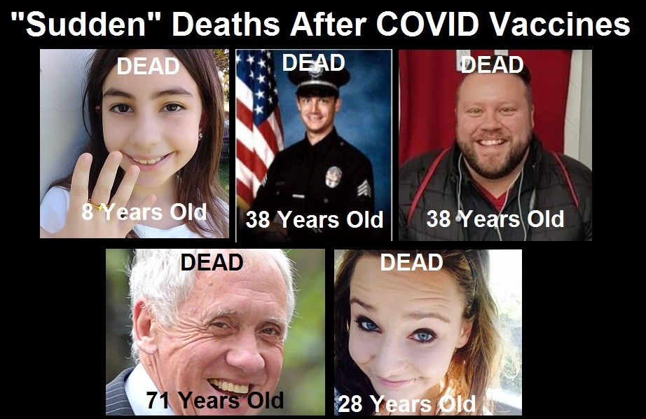Sudden deaths covid vaccines | 76,253 dead 6,033,218 injured recorded in europe and usa following covid vaccines with 4,358 fetal deaths in u.s. | health