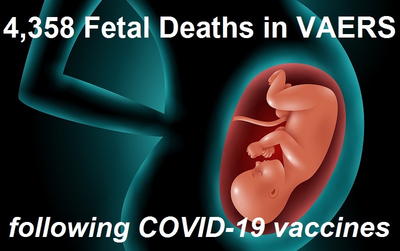 76 253 dead 6 033 218 injured recorded in europe and usa following covid vaccines with 4 358 fetal deaths in u s | health
