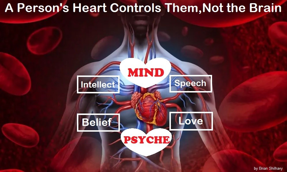 The Brain Myth: Your Intellect and Thoughts Originate in Your Heart, Not Your Brain Heart-Contols-Mind-and-Thought-as-well-as-emotions