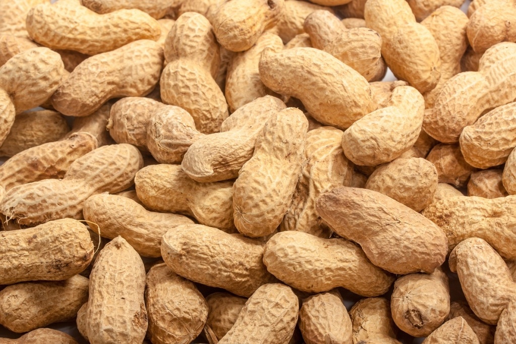 Are Peanut Adjuvants in Vaccines Responsible for the Peanut Allergy