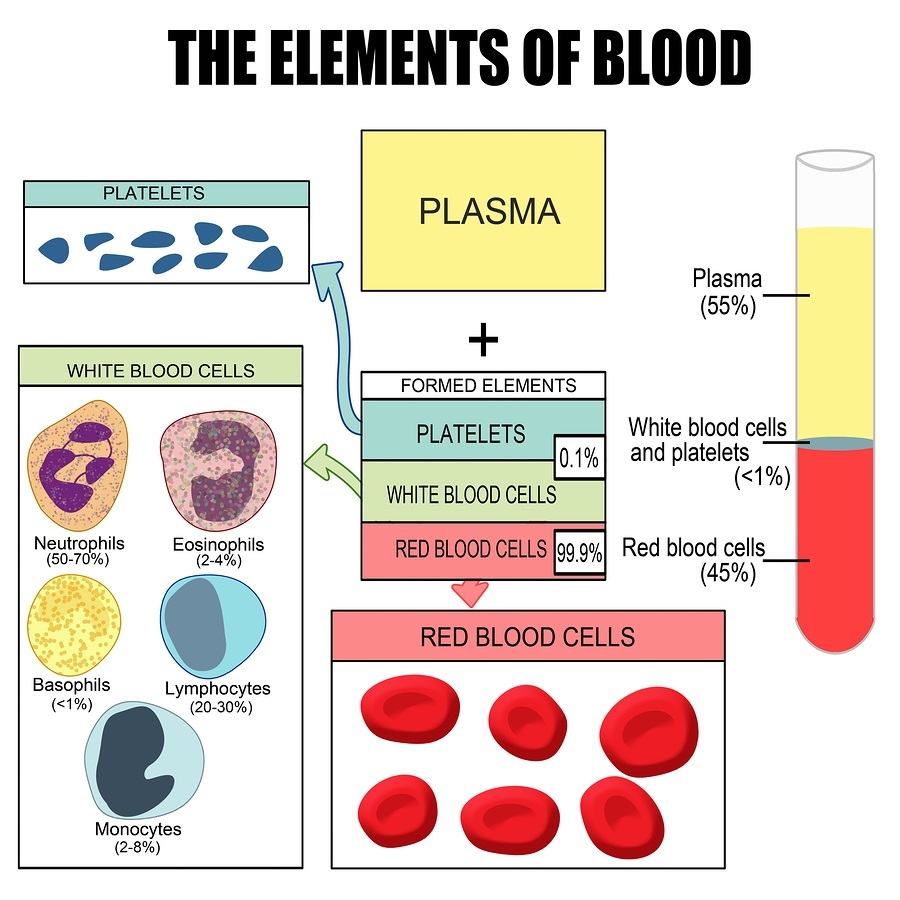 Los elementos de la sangre