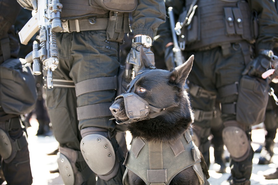 Police officer and his dog. Black german shepherd.