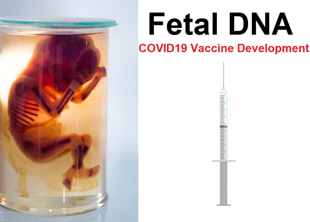COVID19 Vaccine Makers Using Aborted Fetal Cells