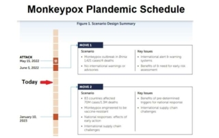US Declares Monkeypox Public Health Emergency – Big Pharma Ready for Windfall Profits, Again