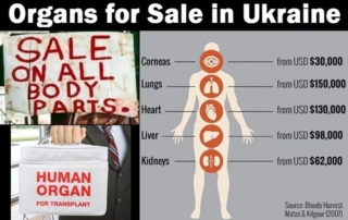 Profiting from War and Death: The Organ Harvesting Business in Ukraine