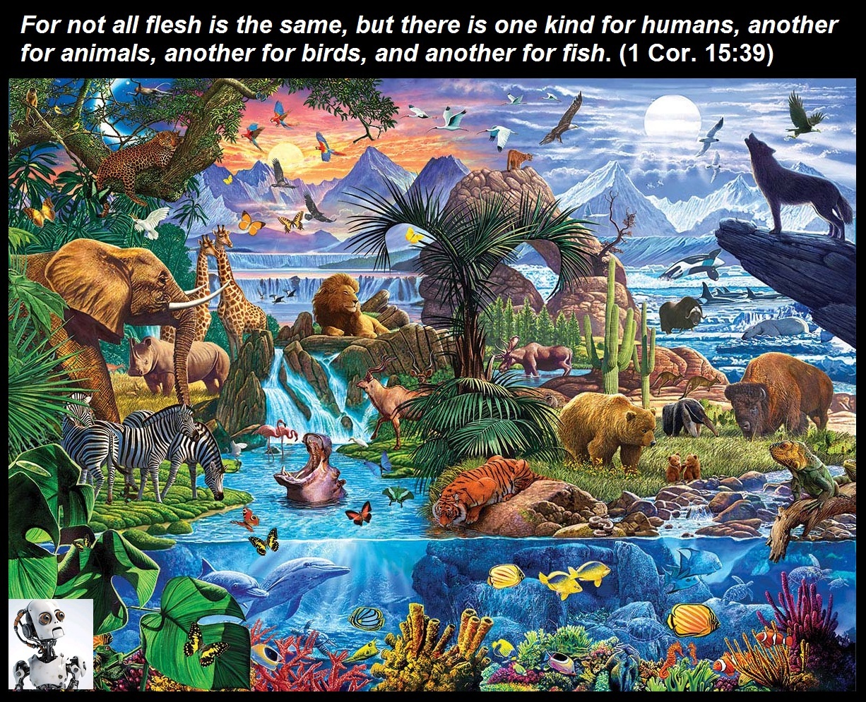 Not-all-Flesh-is-the-same-confused-robot