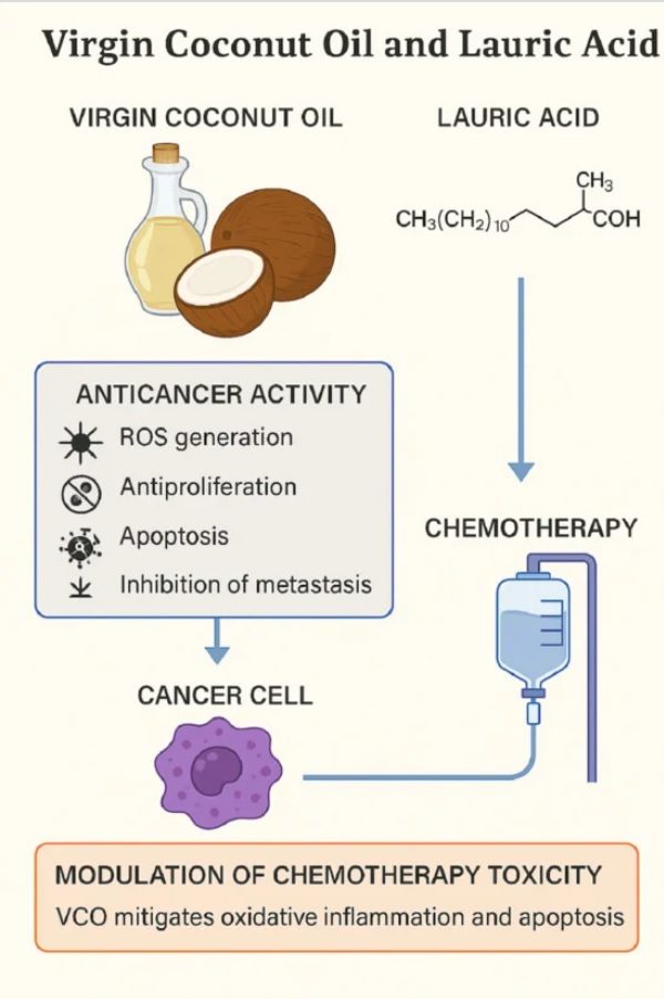 Virgin-Coconut-Oil-and-Lauric-Acid-Cure-Cancer