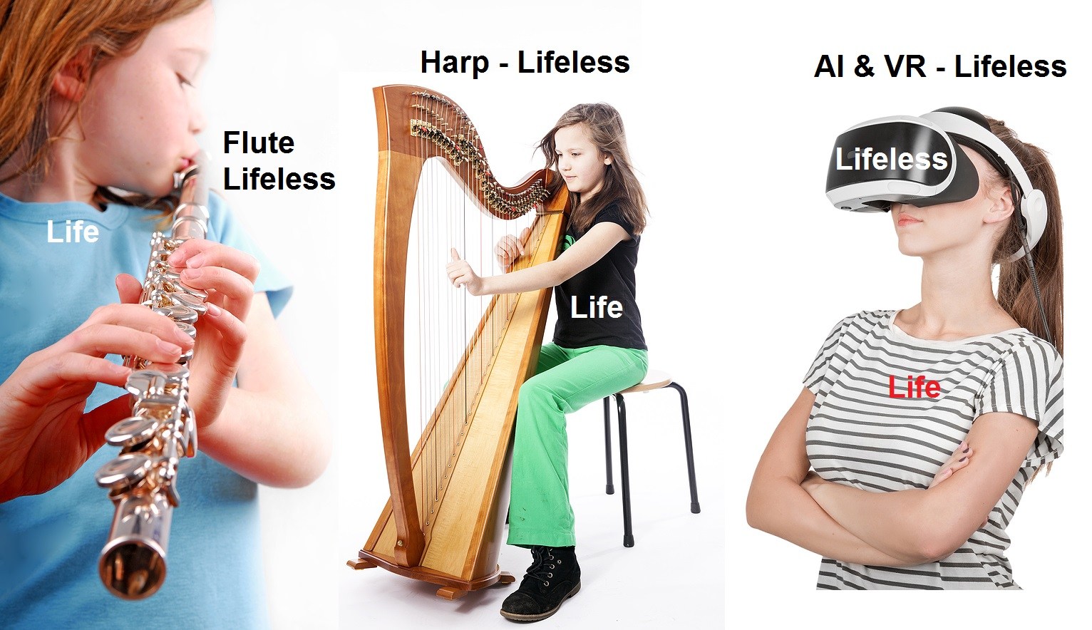 What-has-life-and-what-is-lifeless