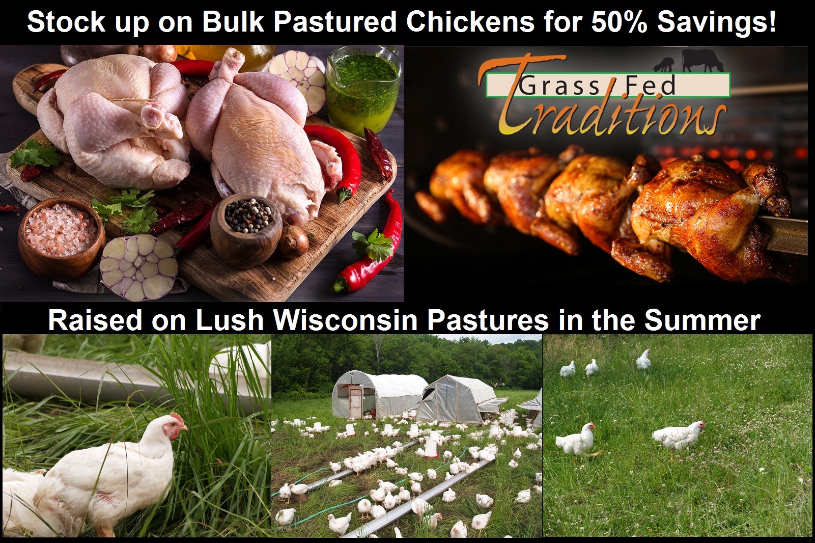 Grassfed-traditions-pastured-poultry