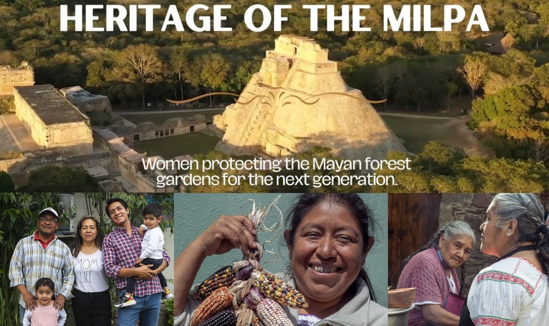 Heritage-of-the-Milpa